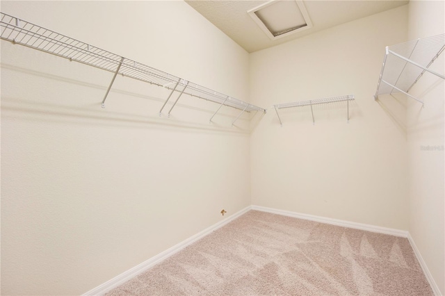 14048 Larkspur Lake Dr, Winter Garden, FL 34787 - photo 22