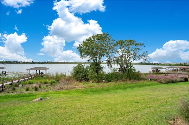 14048 Larkspur Lake Dr, Winter Garden, FL 34787 - photo 37