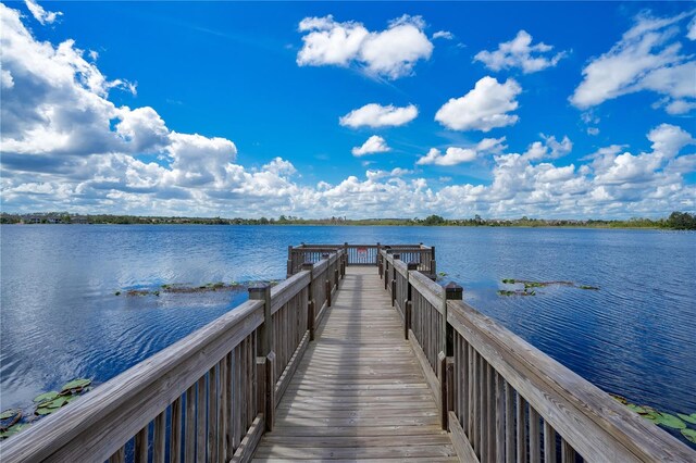 14048 Larkspur Lake Dr, Winter Garden, FL 34787 - photo 39