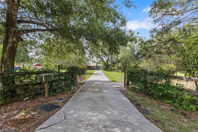 17877 Phil C Peters Rd, Winter Garden, FL 34787 - photo 33