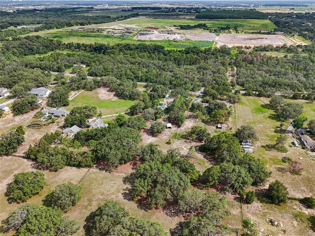 17877 Phil C Peters Rd, Winter Garden, FL 34787 - photo 35