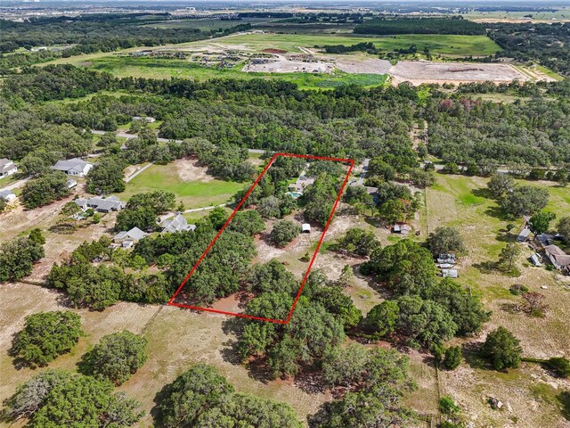 17877 Phil C Peters Rd, Winter Garden, FL 34787 - photo 36