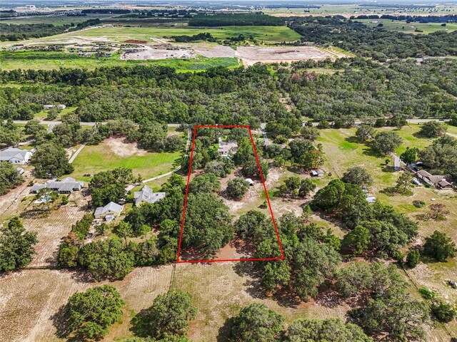 17877 Phil C Peters Rd, Winter Garden, FL 34787 - photo 38