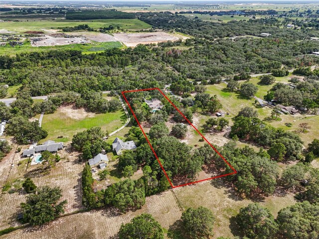 17877 Phil C Peters Rd, Winter Garden, FL 34787 - photo 40