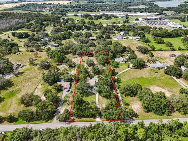 17877 Phil C Peters Rd, Winter Garden, FL 34787 - photo 47