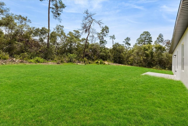 3081 SW 177th Lane Rd, Ocala, FL 34473 - photo 41