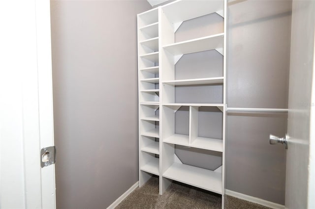 6070 Westgate Dr Unit 204, Orlando, FL 32835 - photo 14