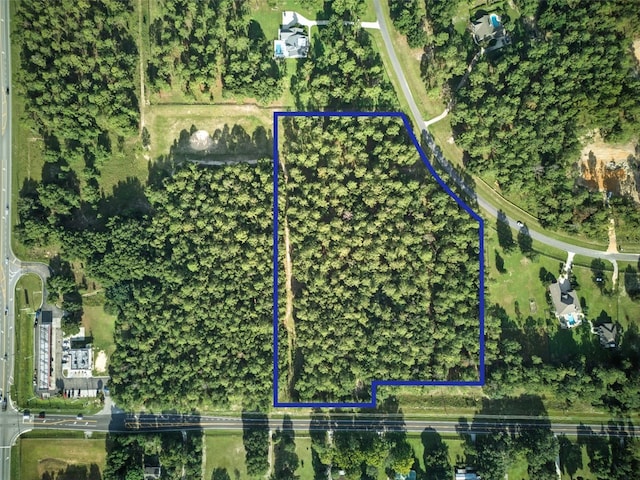 24148 Deep Springs Loop, Eustis, FL 32736 - photo 2