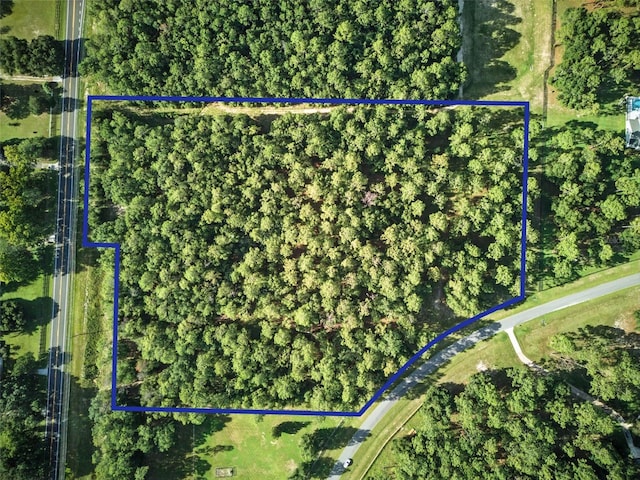 24148 Deep Springs Loop, Eustis, FL 32736 - photo 4