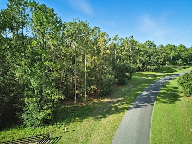 24148 Deep Springs Loop, Eustis, FL 32736 - photo 5