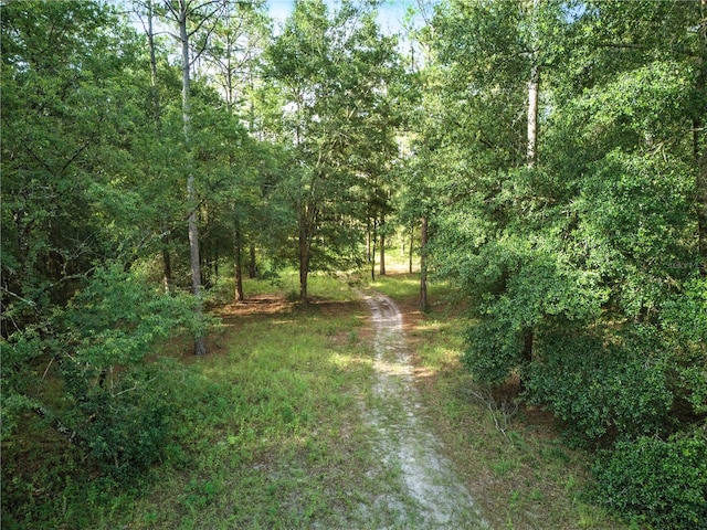 24148 Deep Springs Loop, Eustis, FL 32736 - photo 6