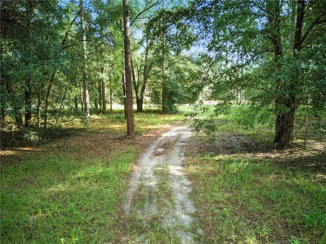 24148 Deep Springs Loop, Eustis, FL 32736 - photo 7