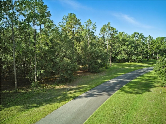 24148 Deep Springs Loop, Eustis, FL 32736 - photo 8