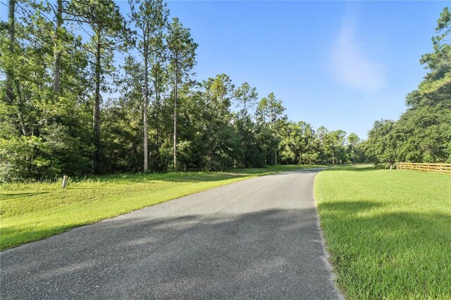 24148 Deep Springs Loop, Eustis, FL 32736 - photo 9