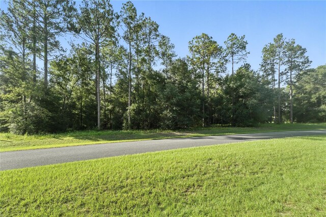 24148 Deep Springs Loop, Eustis, FL 32736 - photo 10