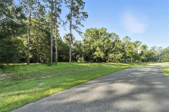 24148 Deep Springs Loop, Eustis, FL 32736 - photo 11
