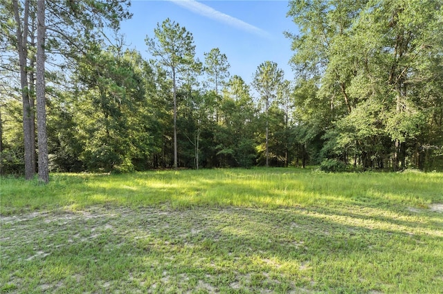 24148 Deep Springs Loop, Eustis, FL 32736 - photo 12