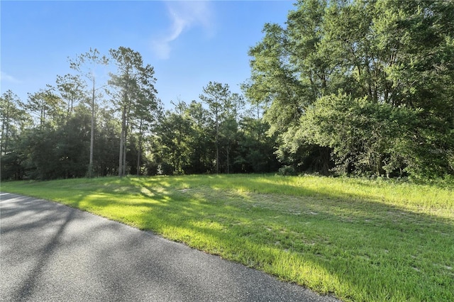 24148 Deep Springs Loop, Eustis, FL 32736 - photo 13