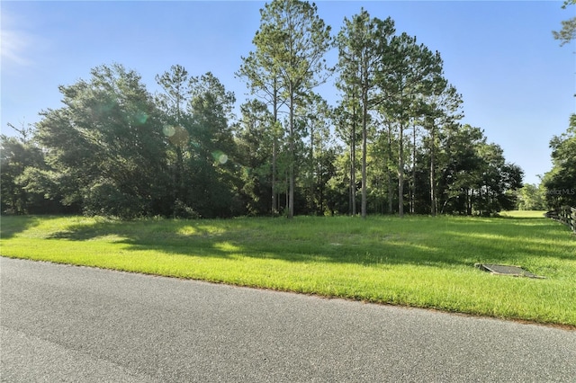 24148 Deep Springs Loop, Eustis, FL 32736 - photo 14