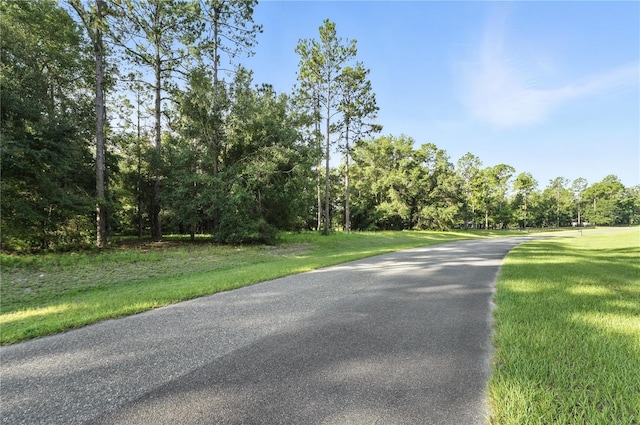 24148 Deep Springs Loop, Eustis, FL 32736 - photo 15