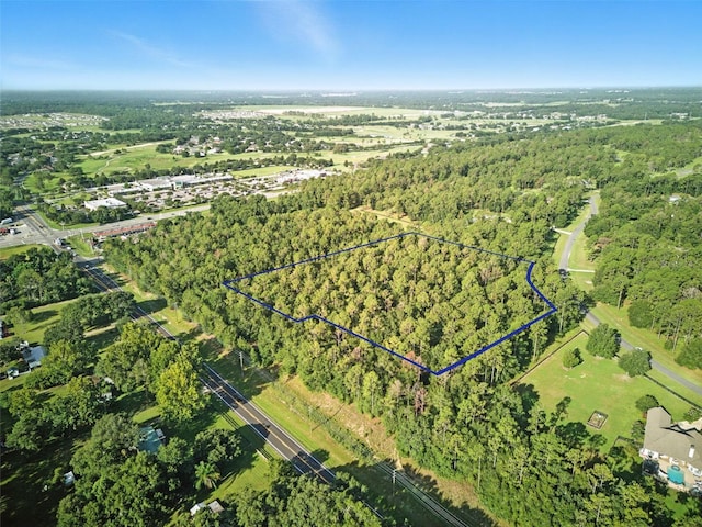 24148 Deep Springs Loop, Eustis, FL 32736 - photo 16