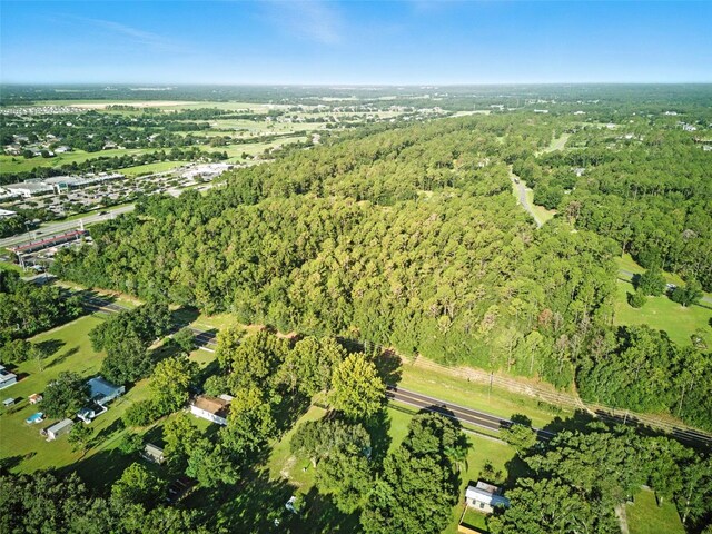 24148 Deep Springs Loop, Eustis, FL 32736 - photo 17
