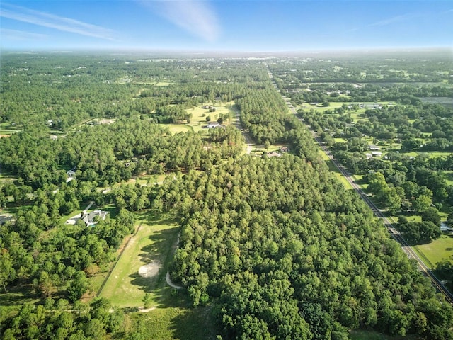 24148 Deep Springs Loop, Eustis, FL 32736 - photo 20