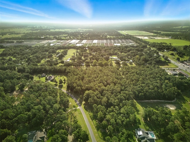 24148 Deep Springs Loop, Eustis, FL 32736 - photo 21