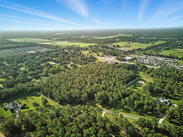 24148 Deep Springs Loop, Eustis, FL 32736 - photo 22