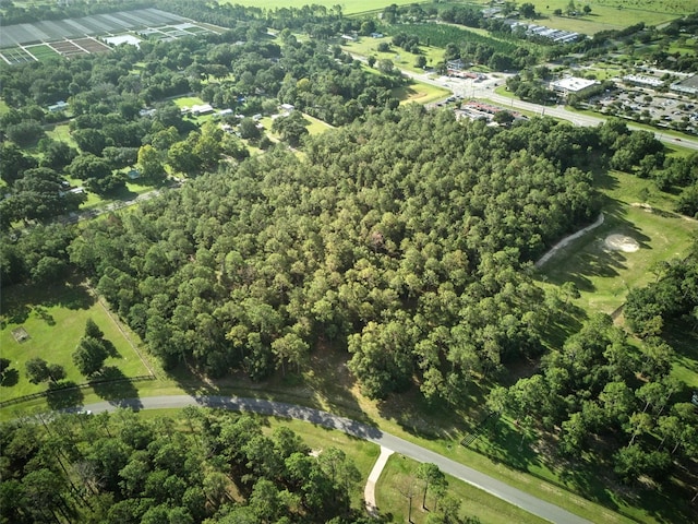 24148 Deep Springs Loop, Eustis, FL 32736 - photo 23