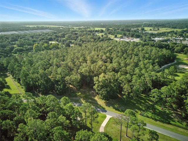 24148 Deep Springs Loop, Eustis, FL 32736 - photo 24