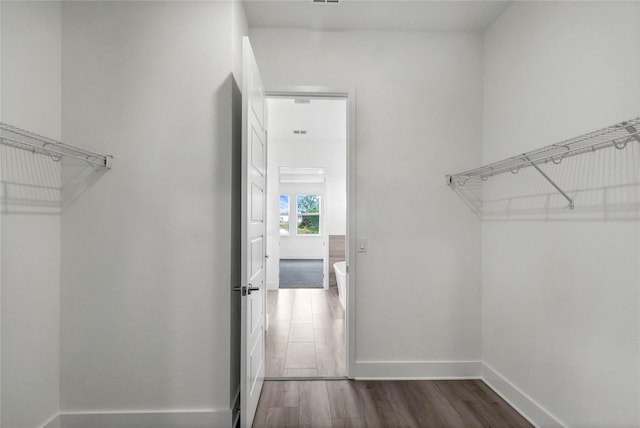 13069 Sunrise Harvest Dr, Winter Garden, FL 34787 - photo 23