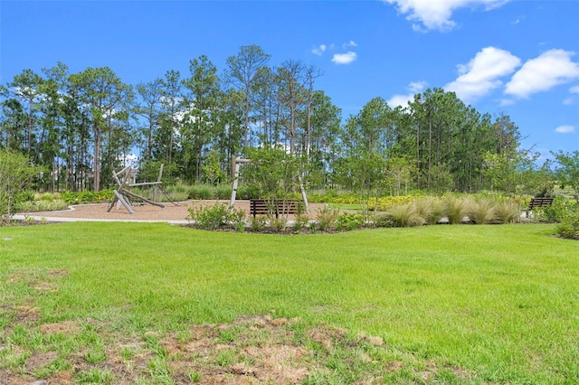 13069 Sunrise Harvest Dr, Winter Garden, FL 34787 - photo 43