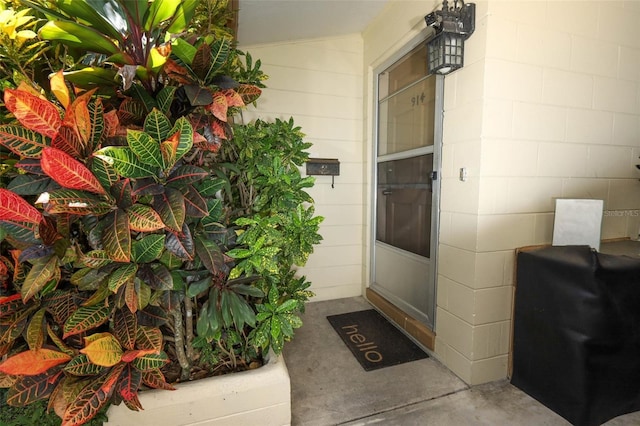 912 La Salle Ave, Orlando, FL 32803 - photo 20
