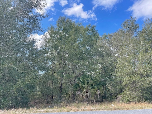 Grays Airport Rd, Lady Lake, FL 32159 - photo 5