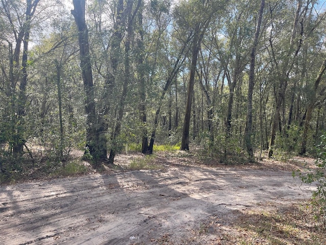 Grays Airport Rd, Lady Lake, FL 32159 - photo 6