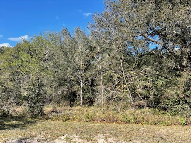 Grays Airport Rd, Lady Lake, FL 32159 - photo 9