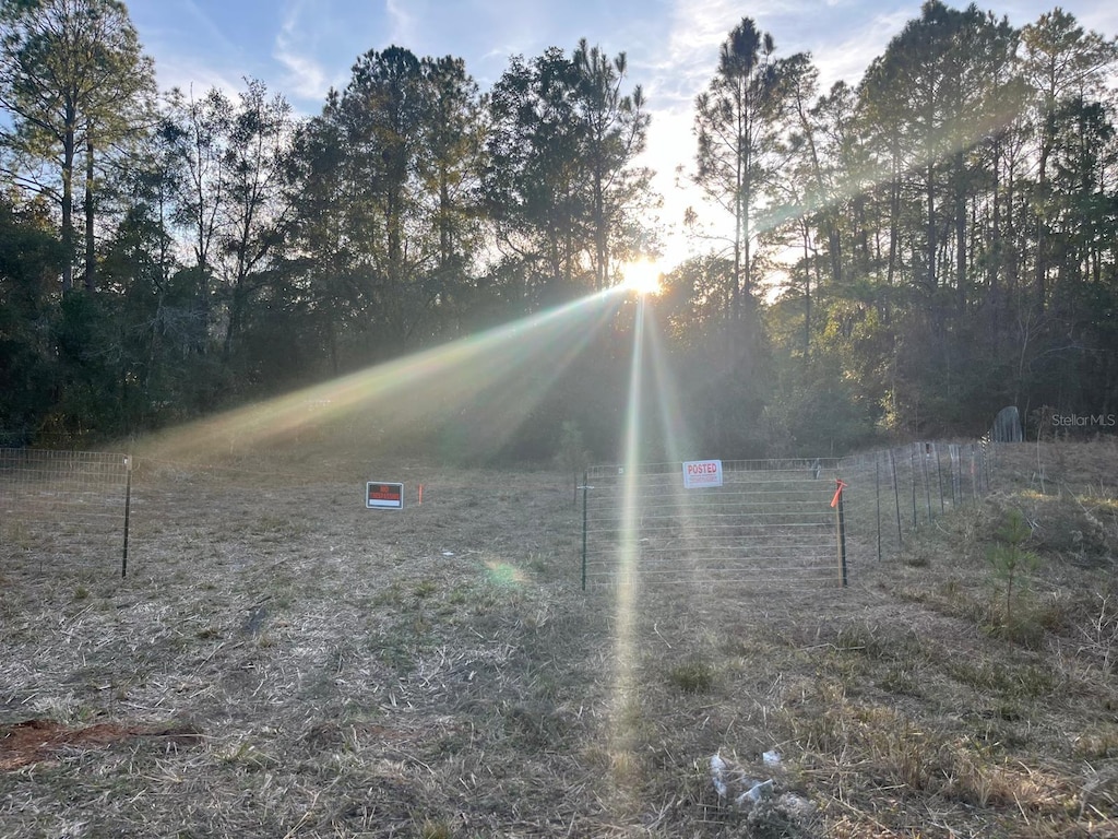 307 Mallard Rd, Satsuma, FL 32189 - photo 1