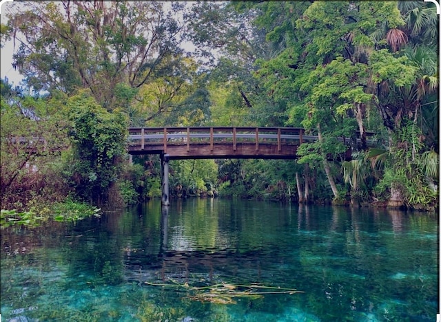 3097 NE 101st Ter Unit P48, Silver Springs, FL 34488 - photo 62