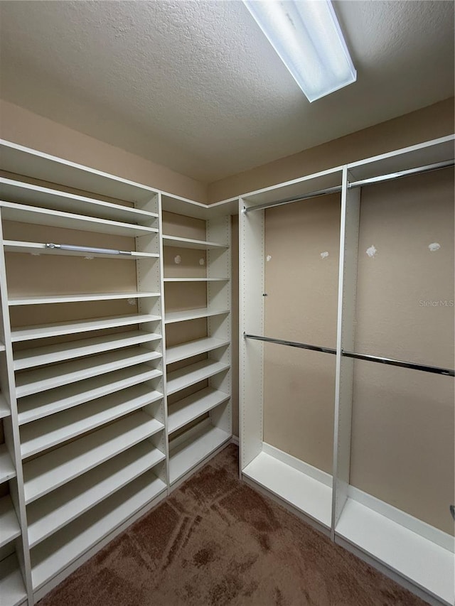 5043 Cactus Needle Ln, Wesley Chapel, FL 33544 - photo 8