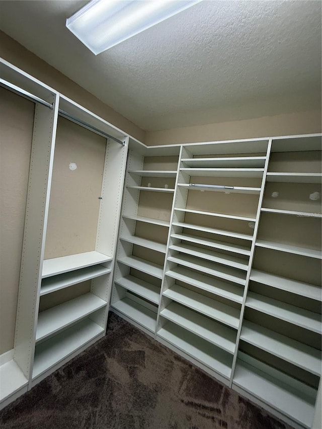 5043 Cactus Needle Ln, Wesley Chapel, FL 33544 - photo 19