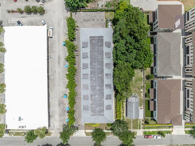 438 W Swoope Ave, Winter Park, FL 32789 - photo 44
