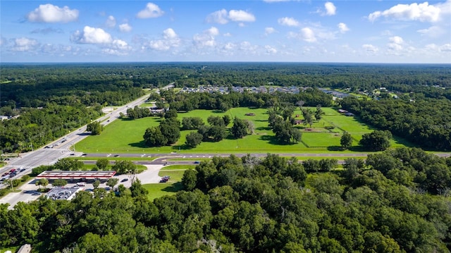 957 Cascades Park Trl, Deland, FL 32720 - photo 8