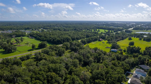 957 Cascades Park Trl, Deland, FL 32720 - photo 9