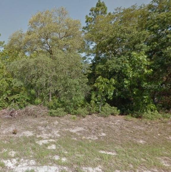 9052 N Burmany Way, Citrus Springs, FL 34433 - photo 2