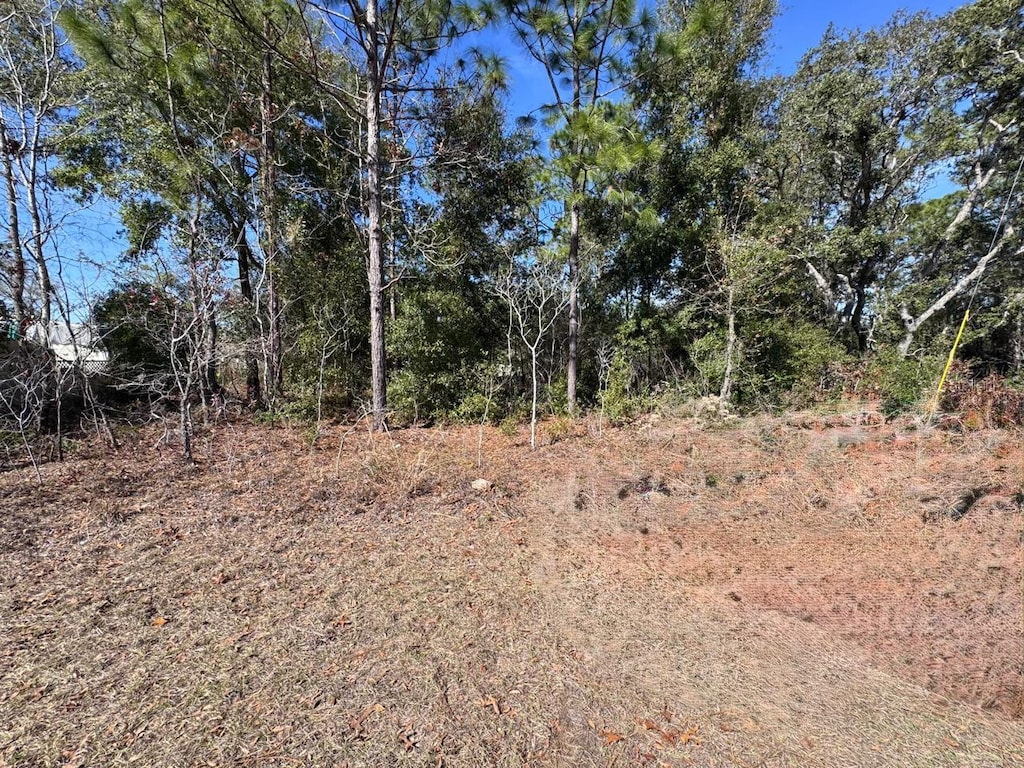 9052 N Burmany Way, Citrus Springs, FL 34433 - photo 4