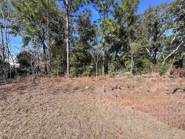 9052 N Burmany Way, Citrus Springs, FL 34433 - photo 4