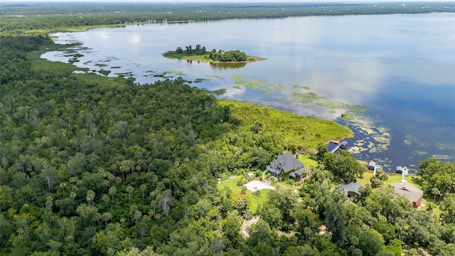 6275 Halabrin Rd, Haines City, FL 33844 - photo 84