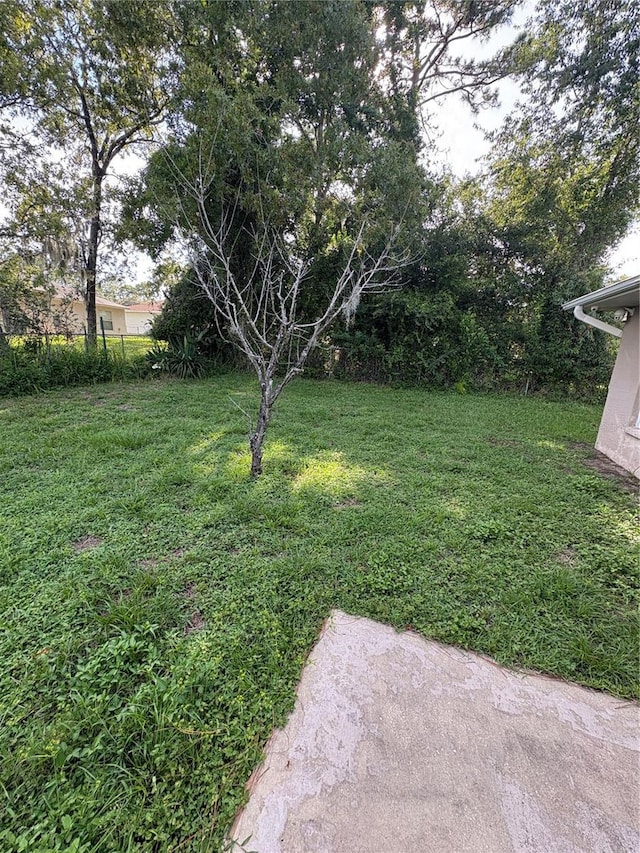 14 Fir Trail Dr, Ocala, FL 34472 - photo 32