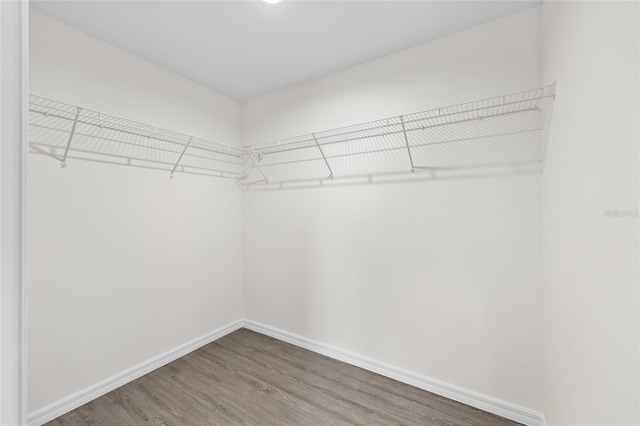 19788 SW Flamingo Dr, Dunnellon, FL 34431 - photo 24